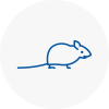 Mice Exterminators In Reigate